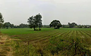 Ghasipura, Madhya Pradesh 462038, India preview 3