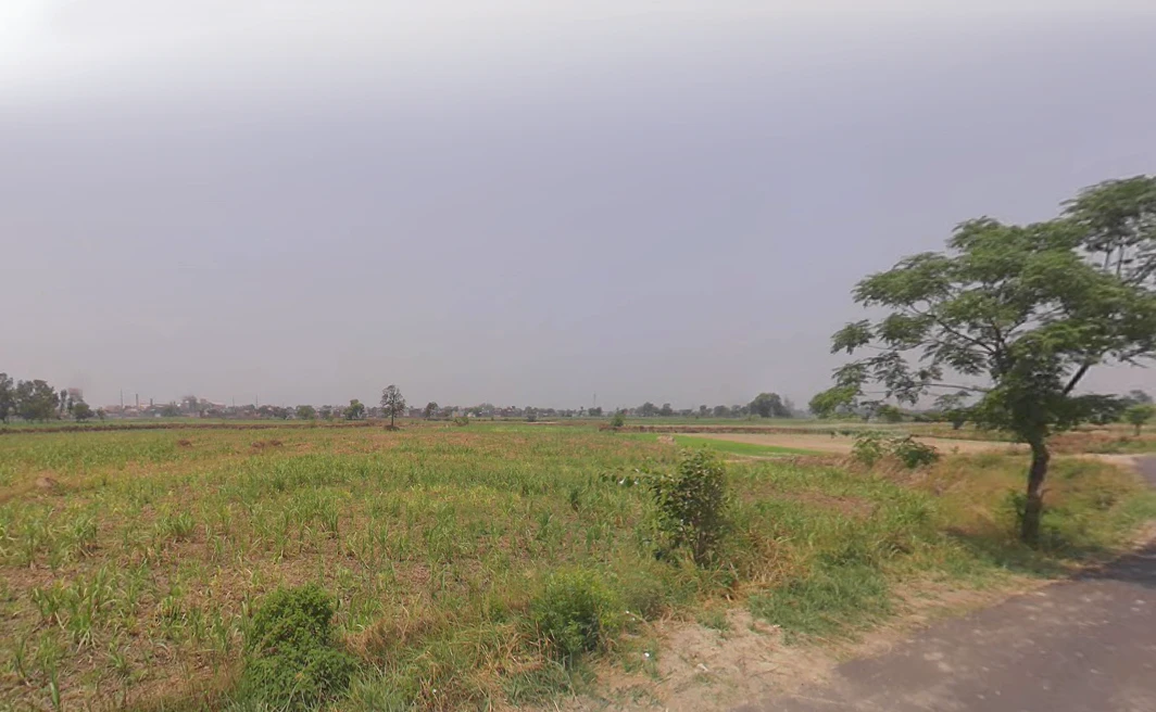 Mohiuddinpur, Uttar Pradesh 250205, India