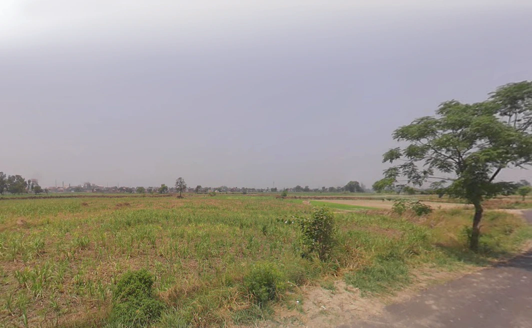 Mohiuddinpur, Uttar Pradesh 250205, India