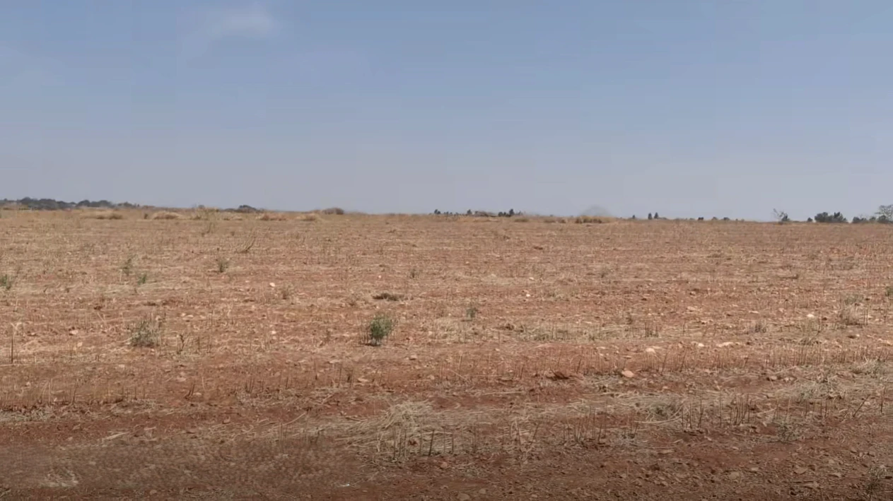 Roddam, Andhra Pradesh 515123, India