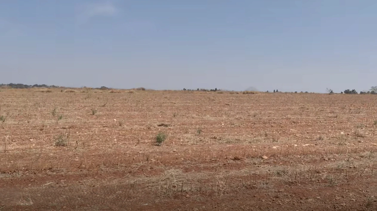 Roddam, Andhra Pradesh 515123, India