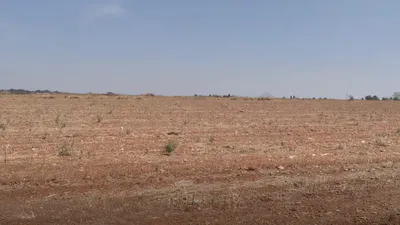 Roddam, Andhra Pradesh 515123, India preview 3