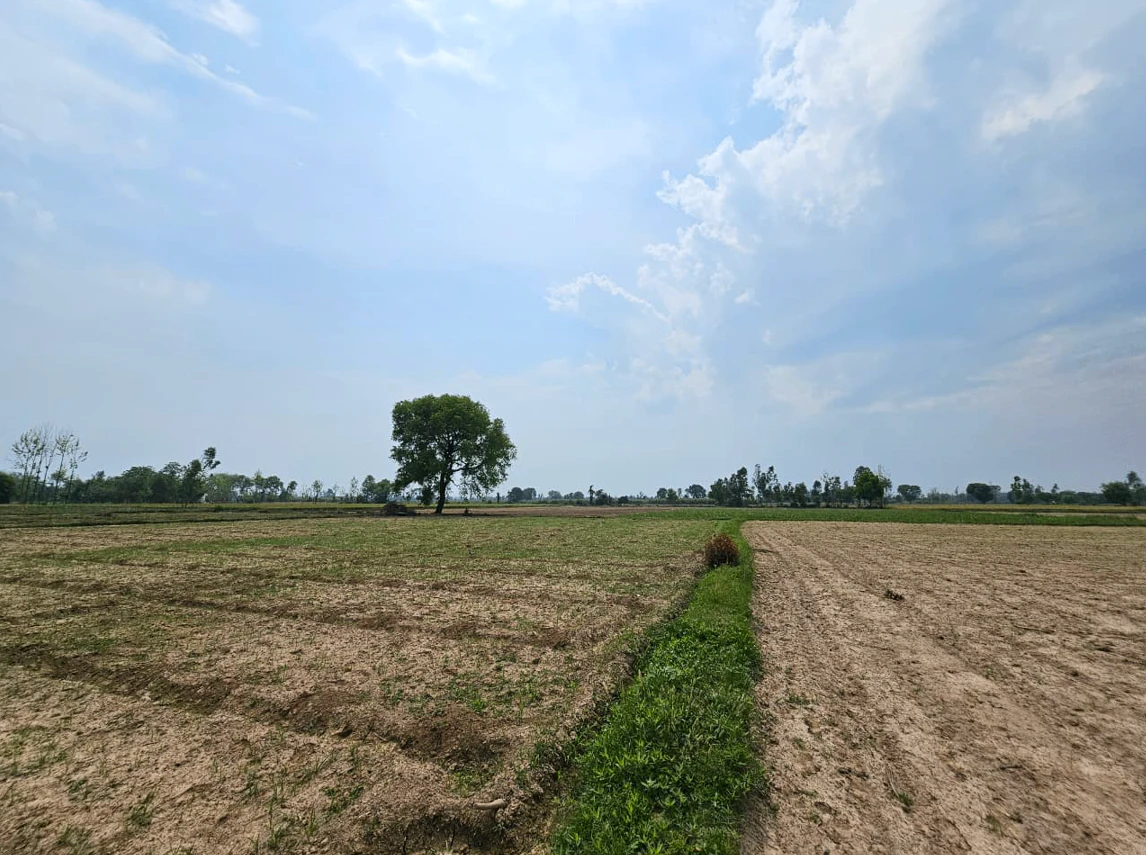 7277+WP3, Raipur, Gullu, Chhattisgarh 493441, India