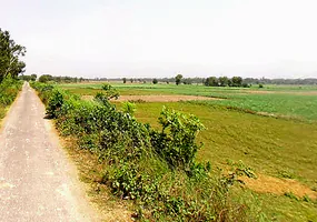 RQMQ+X8J, Pastamaphi, Meenapur Phagauli, Uttar Pradesh 224116, India preview 2
