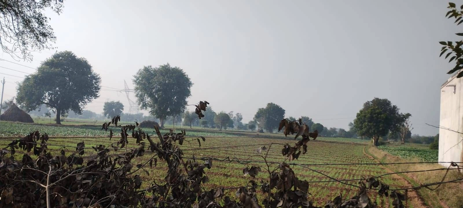 Kachera Varsabad, Gautam Buddha Nagar, Uttar Pradesh 203207, India