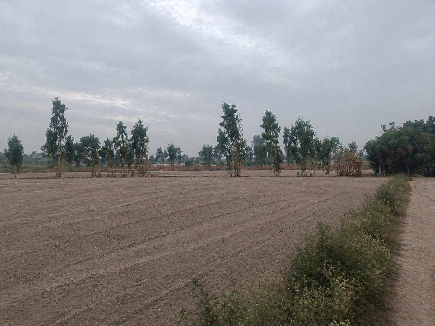 Barhana, Uttar Pradesh, India