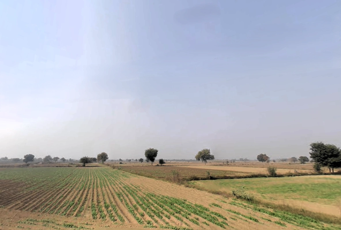 Beri, Haryana 124201, India