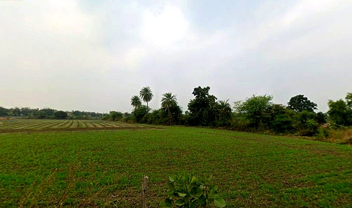 Panod, Madhya Pradesh 453771, India