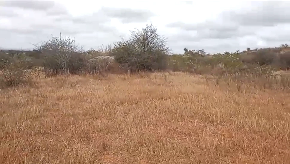 XR2Q+R9 Gownivaripalli, Andhra Pradesh, India