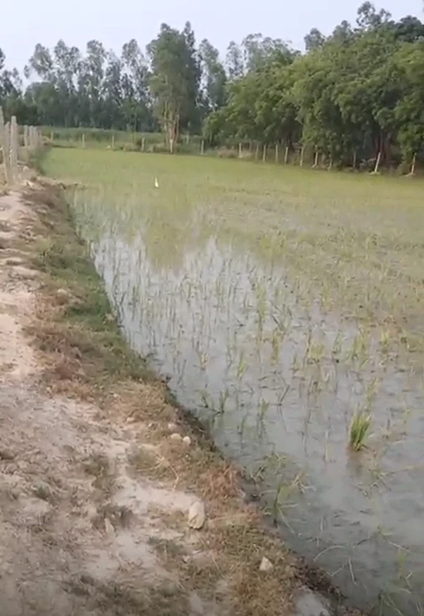 Tilhar, Shahjahanpur, Uttar Pradesh 242307, India