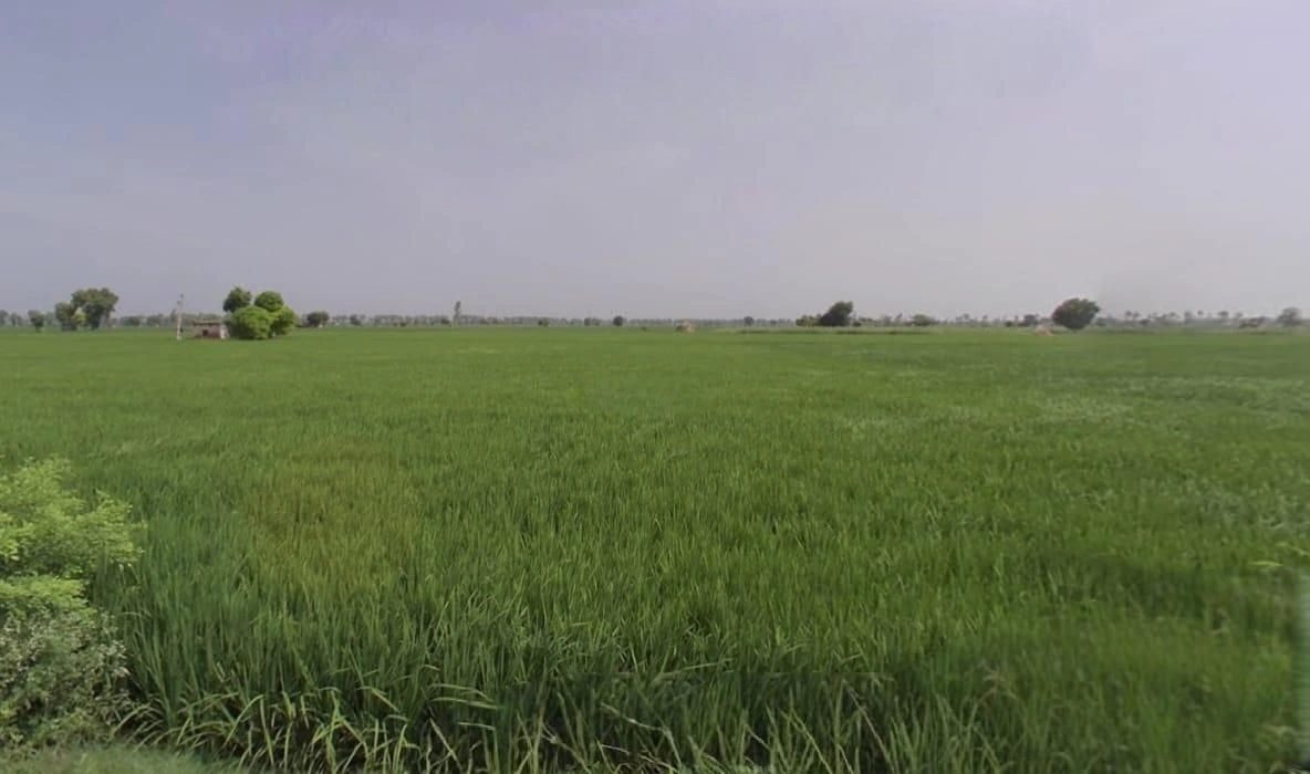 Khategaon, Madhya Pradesh 455336, India