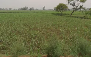 Hastinapur, Uttar Pradesh 250404, India preview 3