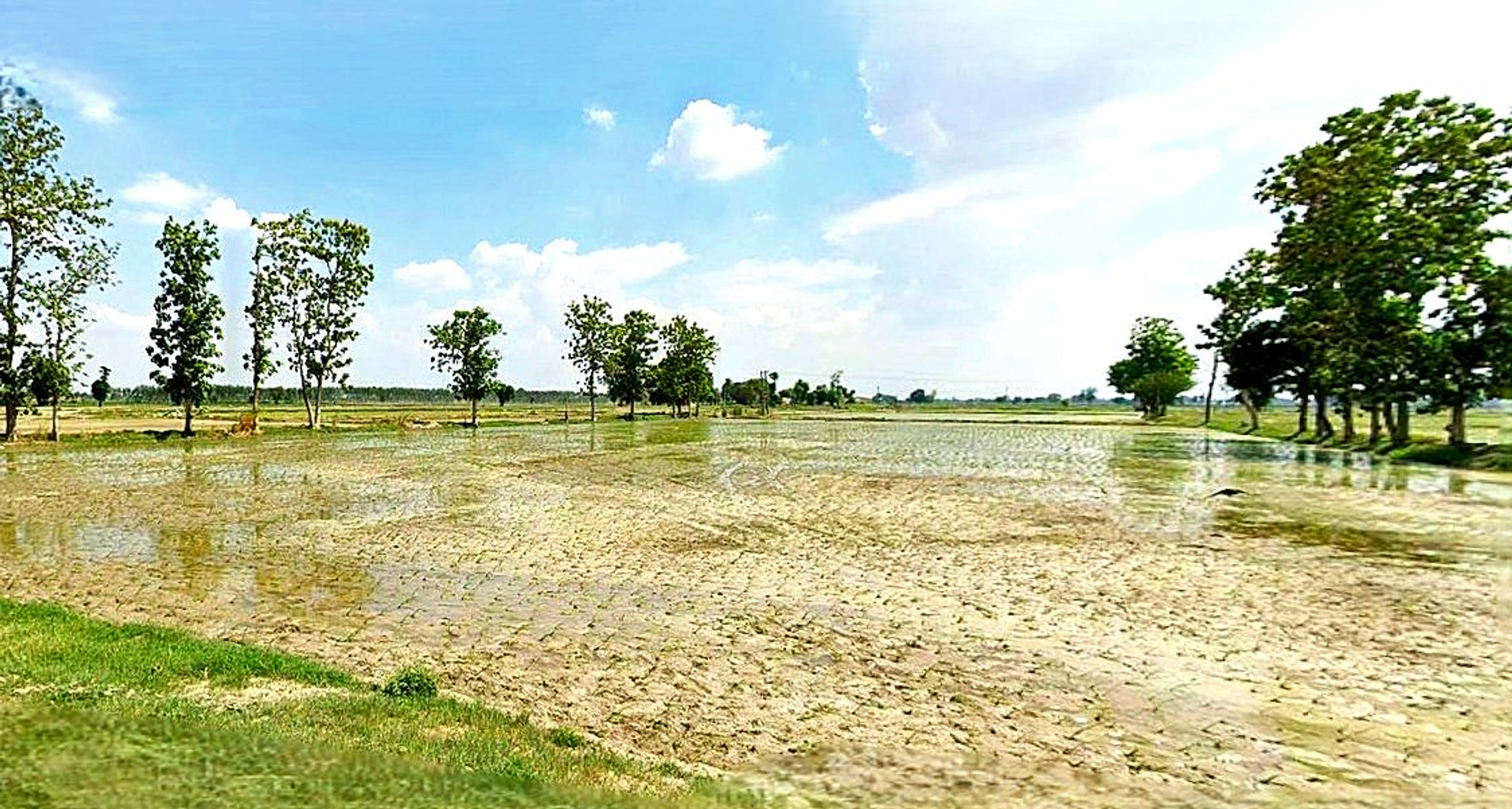 Narayanpur, Uttar Pradesh 210502, India