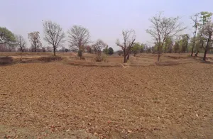 Mandlor, Chhattisgarh 493661, India preview 2