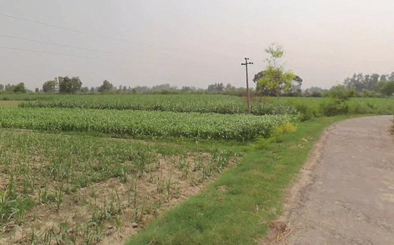 Mawana, Uttar Pradesh, India