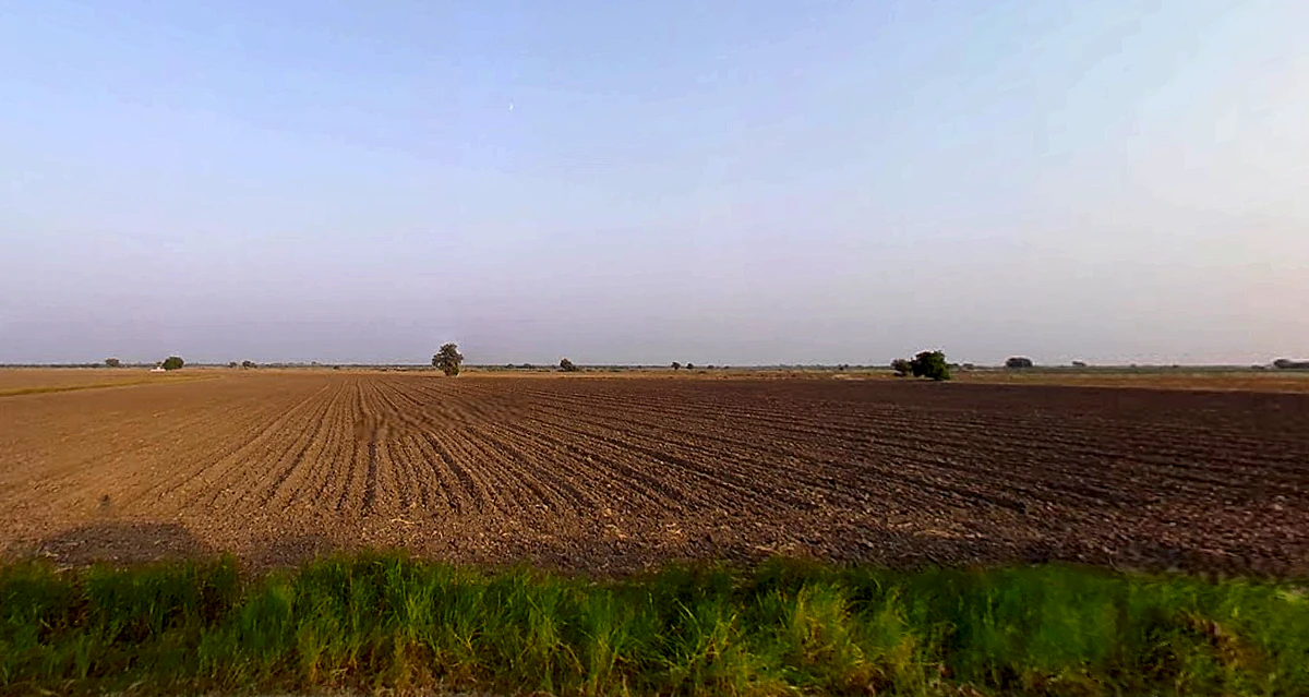 Godhavadar, Gujarat 365535, India