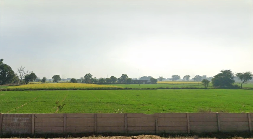 Sasni, Uttar Pradesh 204216, India