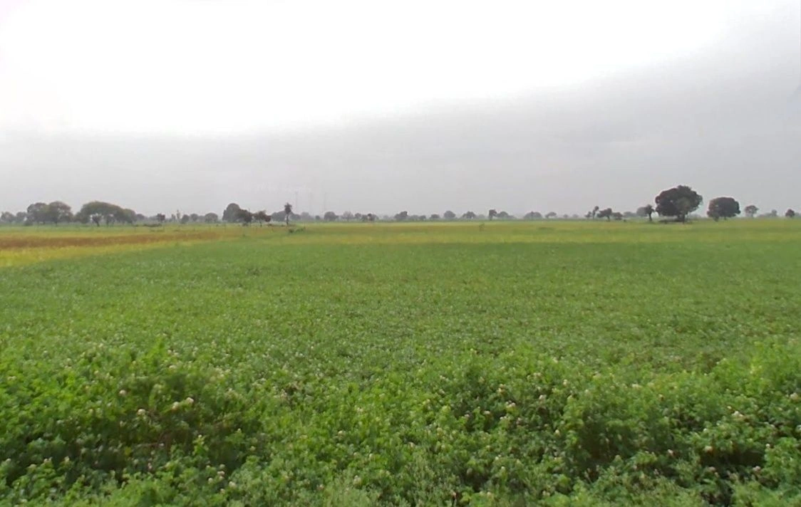 Kharsodkhurd, Madhya Pradesh, India