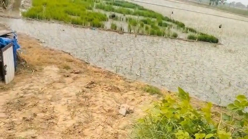 649V+V23, Hoshiarpur, Garhshankar, Punjab 144527, India preview 3