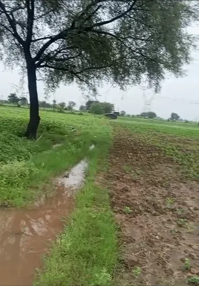 Tatam, Chhatarpur, Madhya Pradesh 471501, India preview 2