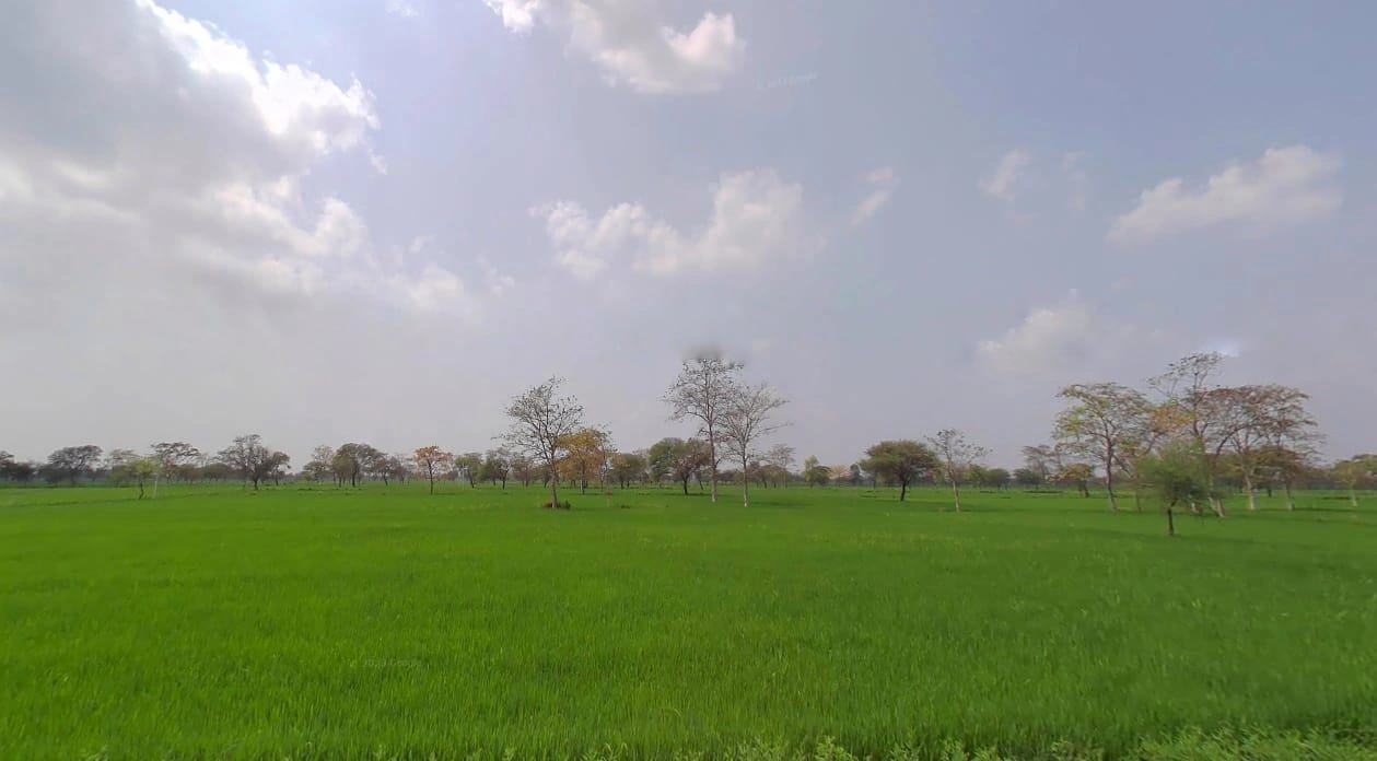 Sonpairi-2, Chhattisgarh 493661, India