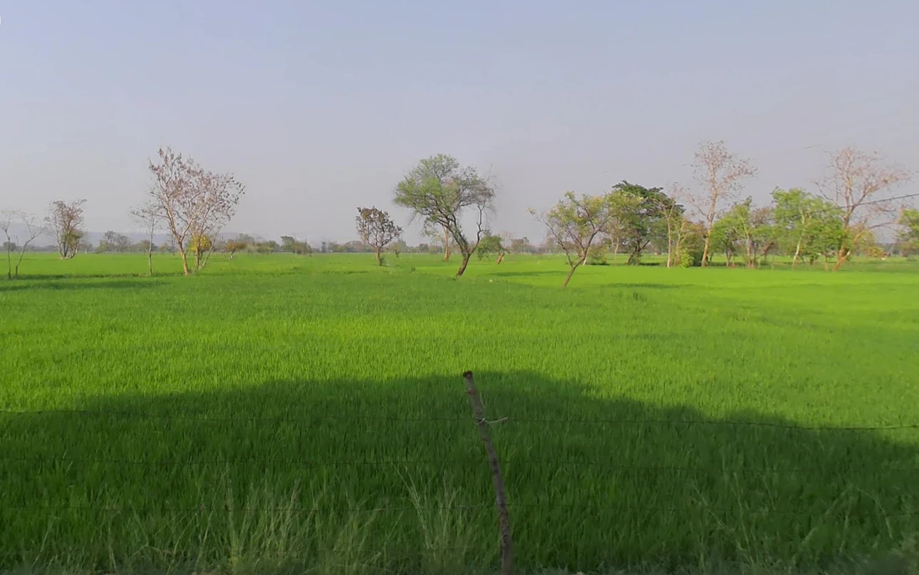 Khadgaon, Chhattisgarh 496116, India