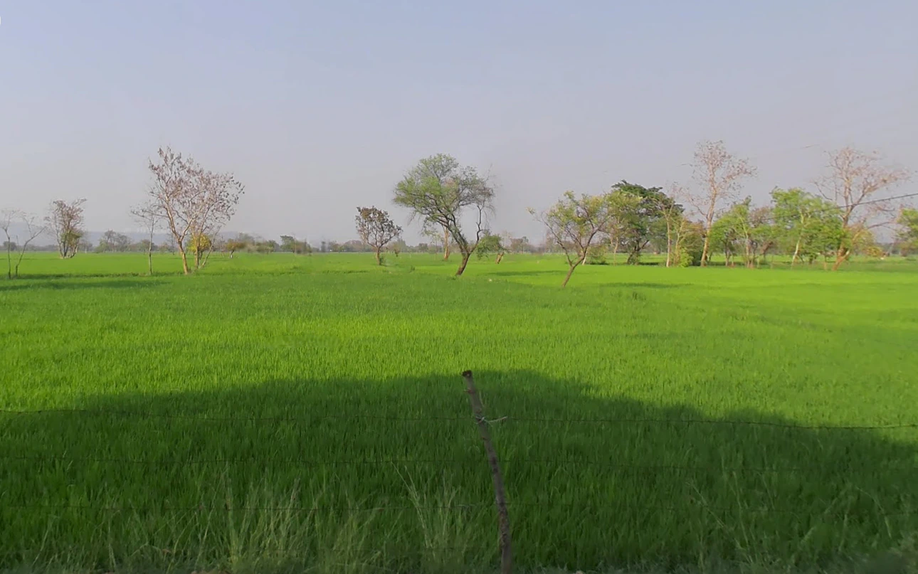 Khadgaon, Chhattisgarh 496116, India