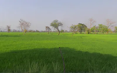 Khadgaon, Chhattisgarh 496116, India preview 3