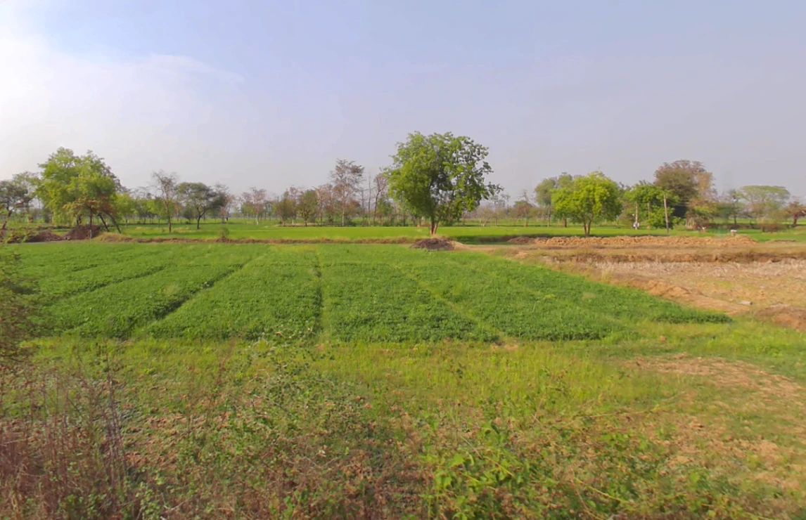 Village& post -sankari, WQMH+VHF, teh, Kurud, Chhattisgarh 493663, India