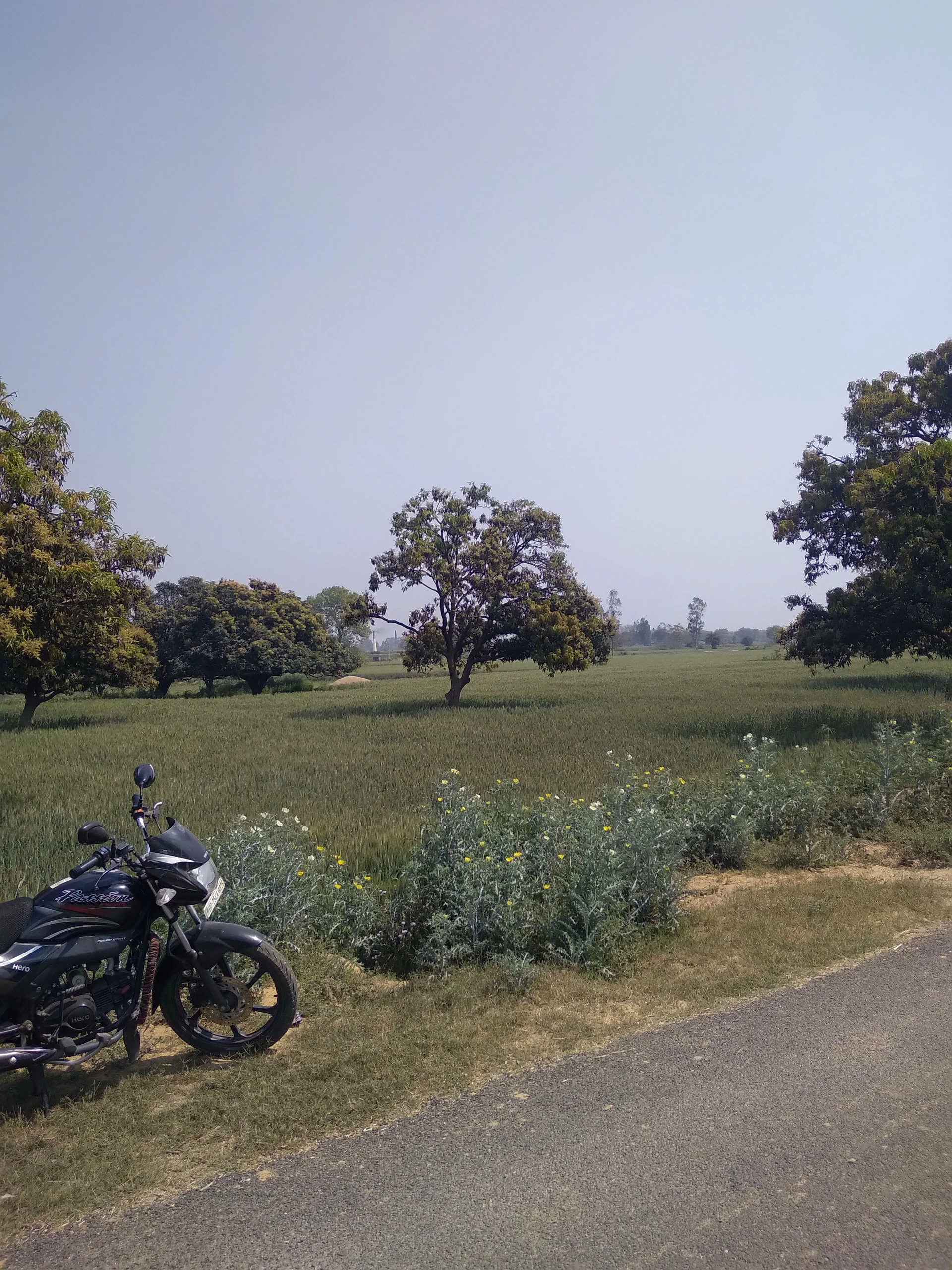 Aonla, Uttar Pradesh 243301, India