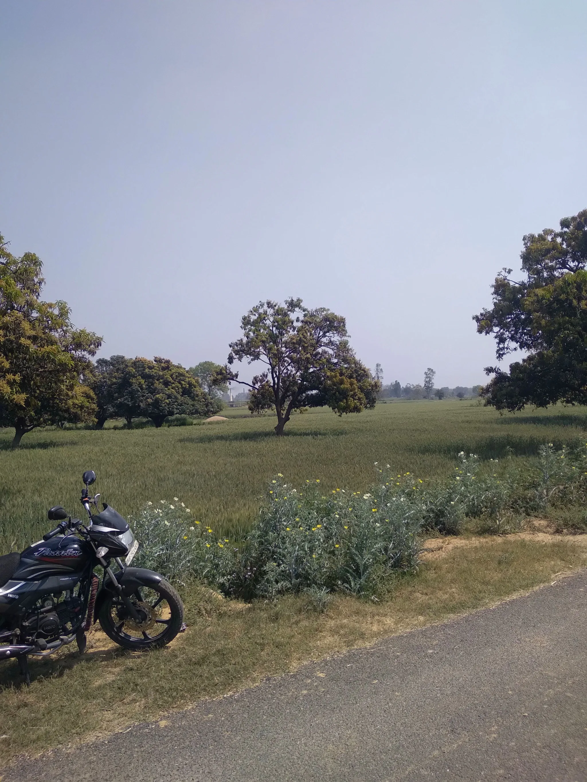 Aonla, Uttar Pradesh 243301, India - Photo 4
