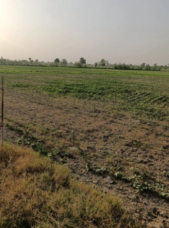 RHGC+759, Morinda Rd, Kurali, Punjab 140103, India preview 2