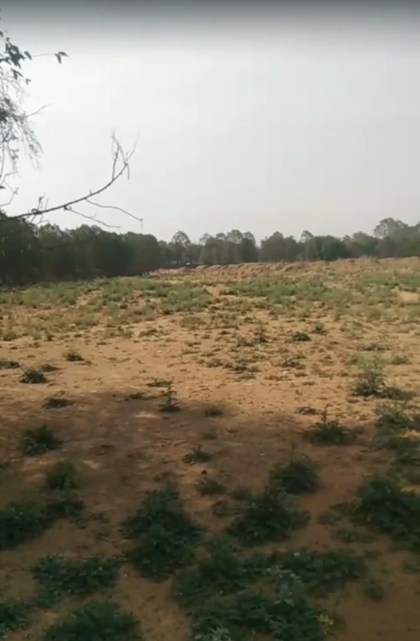 CCQ9+CR2, Khatu Shyam Ji Rd, Mandha, Rajasthan 332402, India