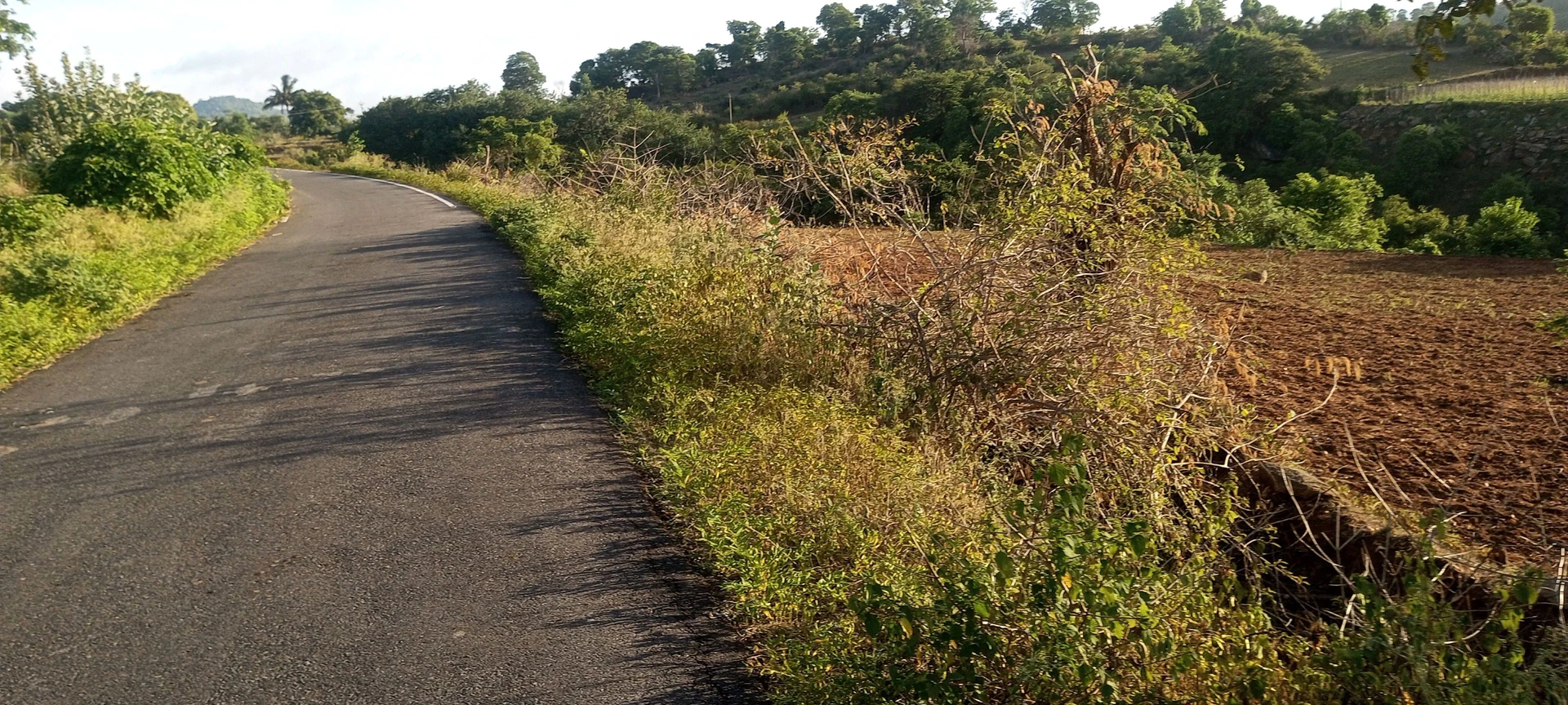 Doddaubbanur, Tamil Nadu 635118, India