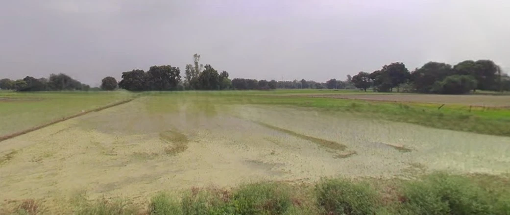 Jhajjar, Haryana 124103, India