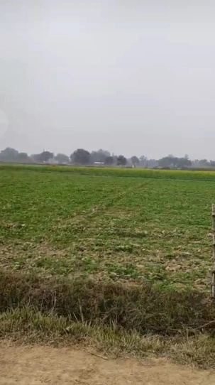 Atrauli, Uttar Pradesh, India