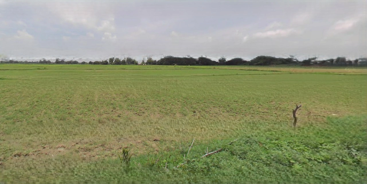 Barnagar, Madhya Pradesh 456771, India