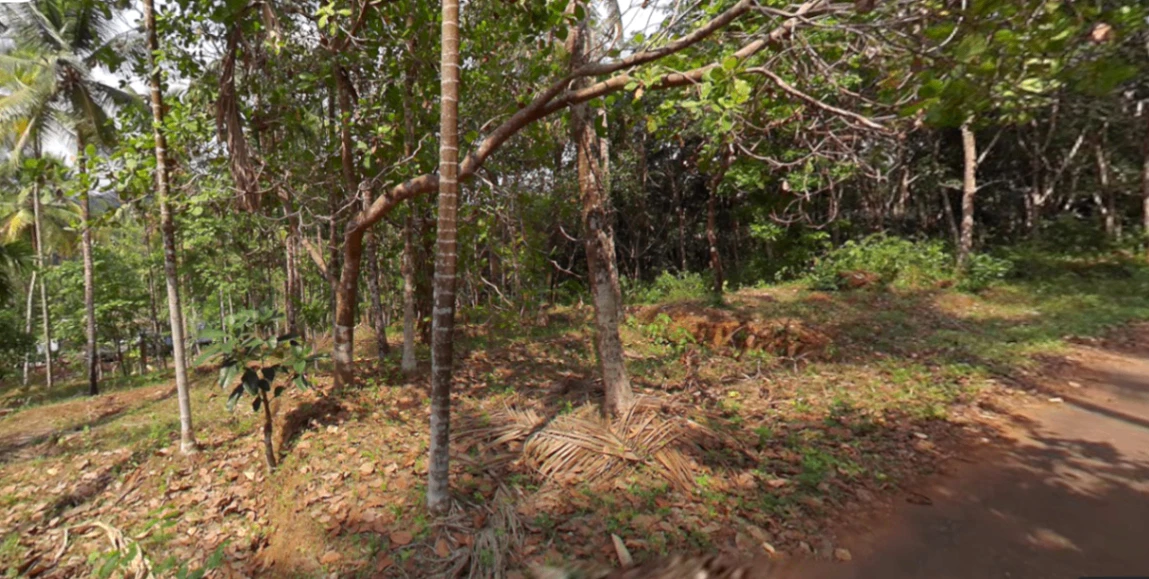 76MQ+FV8, Chandakunnu, Nilambur, Kerala 679329, India