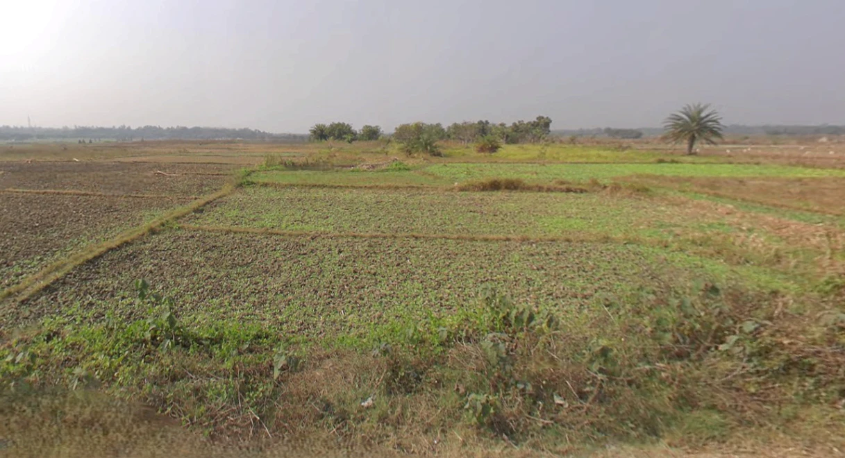 MQ77+P8R, NH 31, Dakshin Chak Maulani, Moulani, West Bengal 735302, India