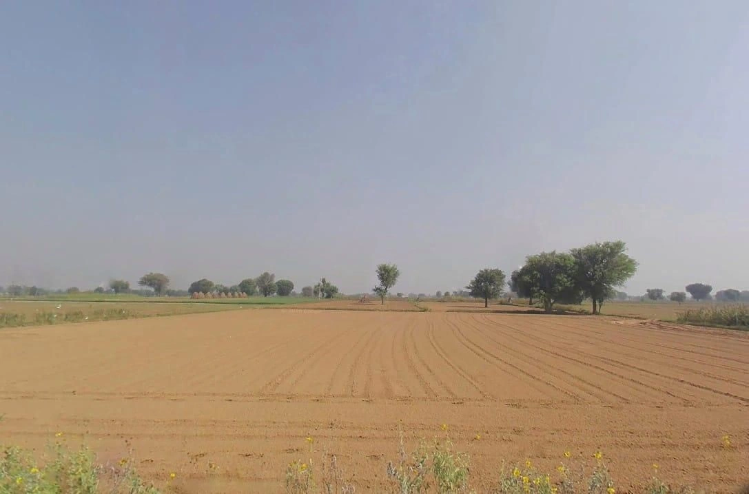 Behror Jat, Rajasthan, India