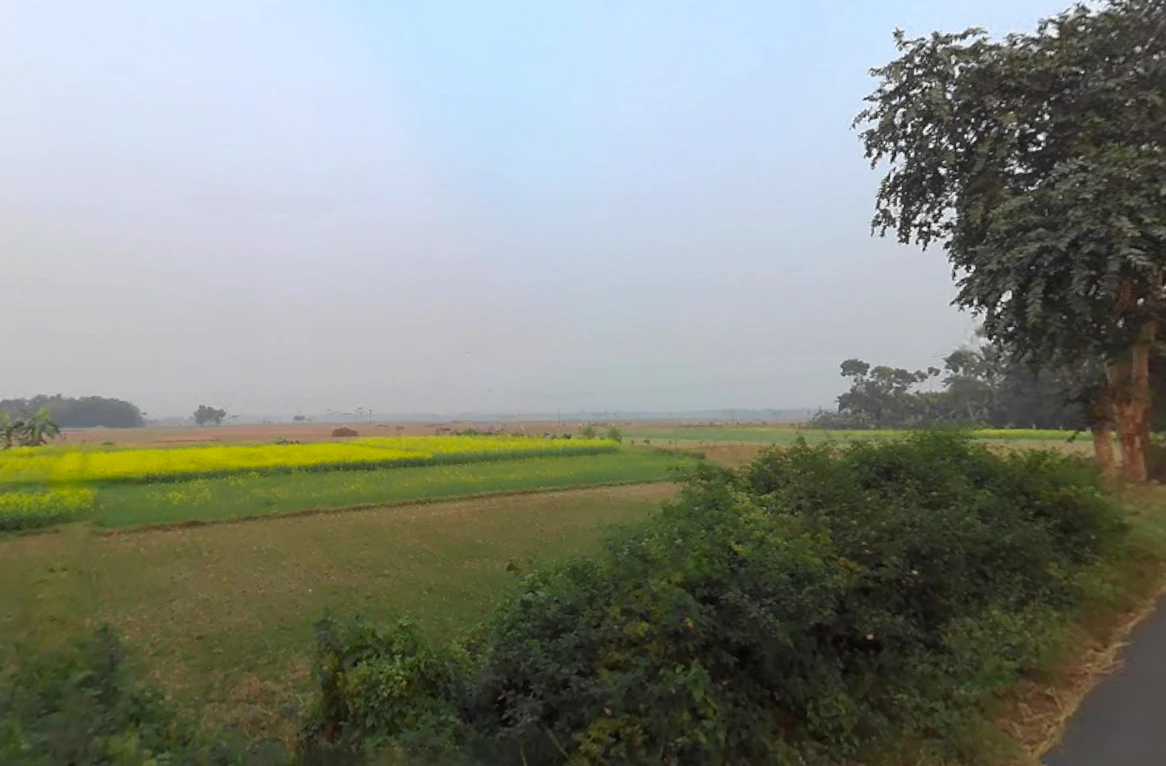 Jaguli, West Bengal, India