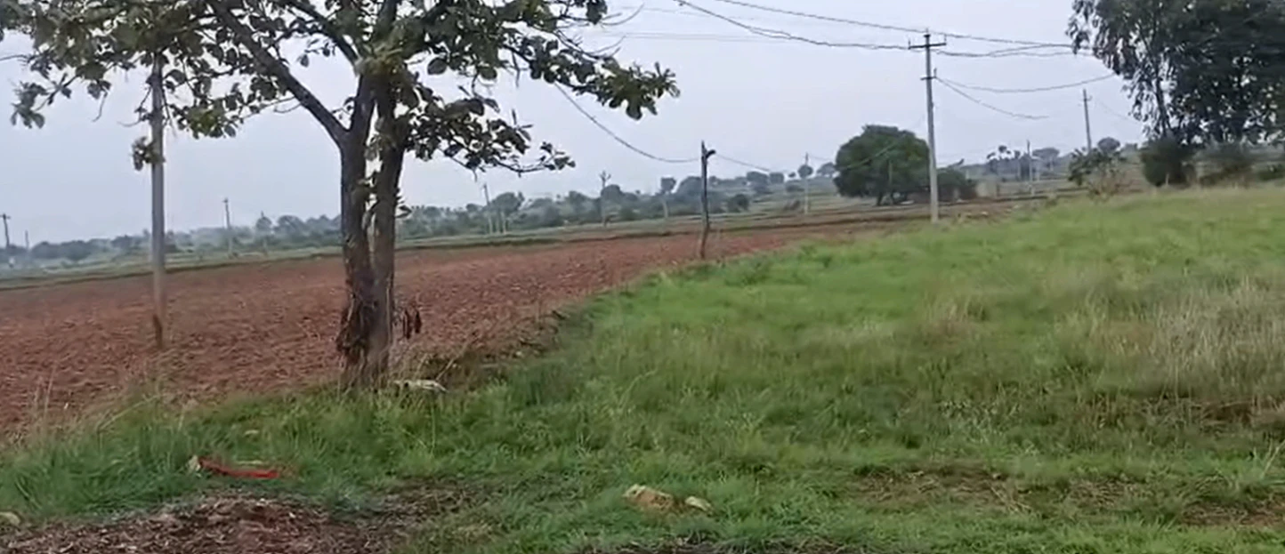 5FFM+9J Kancherla, Kamareddy, Telangana, India