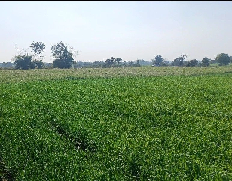Hiriyur, Karnataka, India preview 2