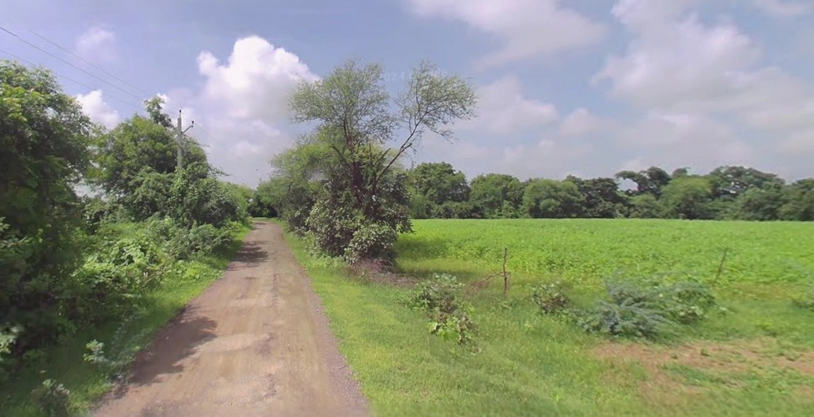 Bijnor, Uttar Pradesh 246701, India