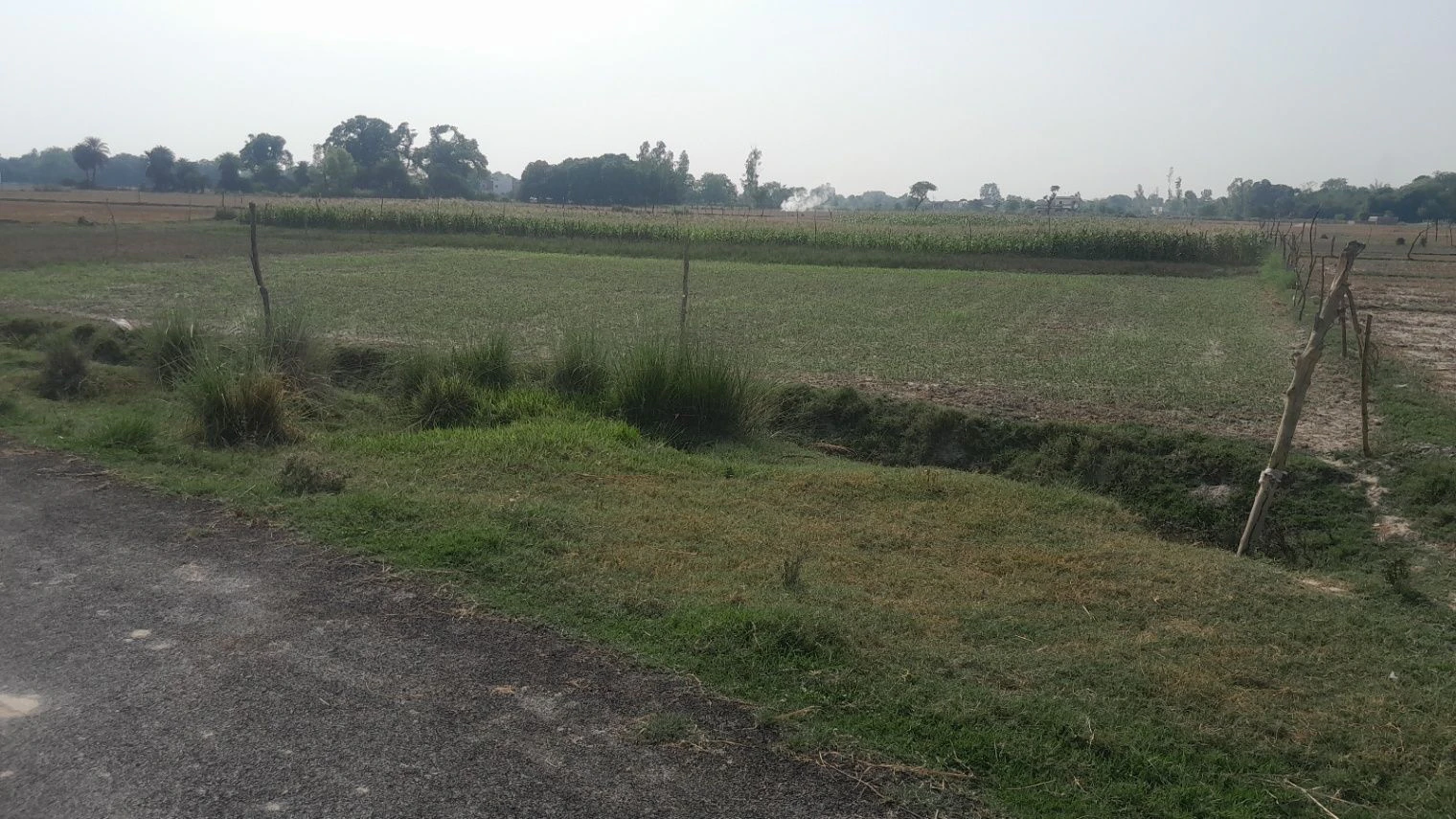 P5FG+WX2, Vill&Post, Dadera, Kazipur Jamin Malikpur, Uttar Pradesh 224133, India