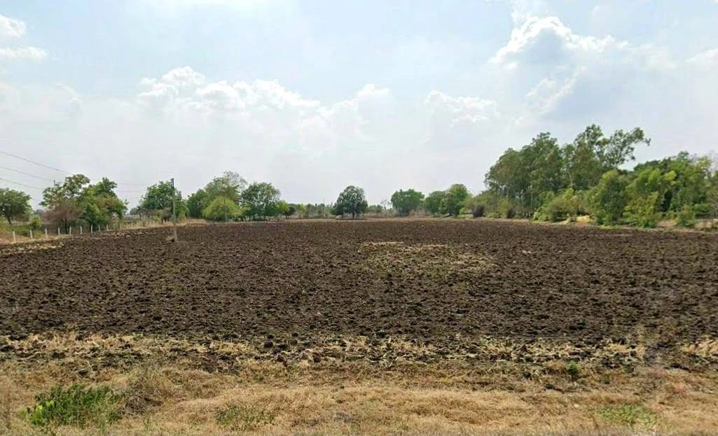 8Q5W+XJP Bachchukheda chauraha groth road, Panbihar, Madhya Pradesh 456006, India