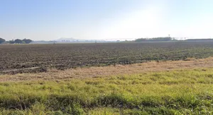 Jamaniya, Madhya Pradesh, India preview 3