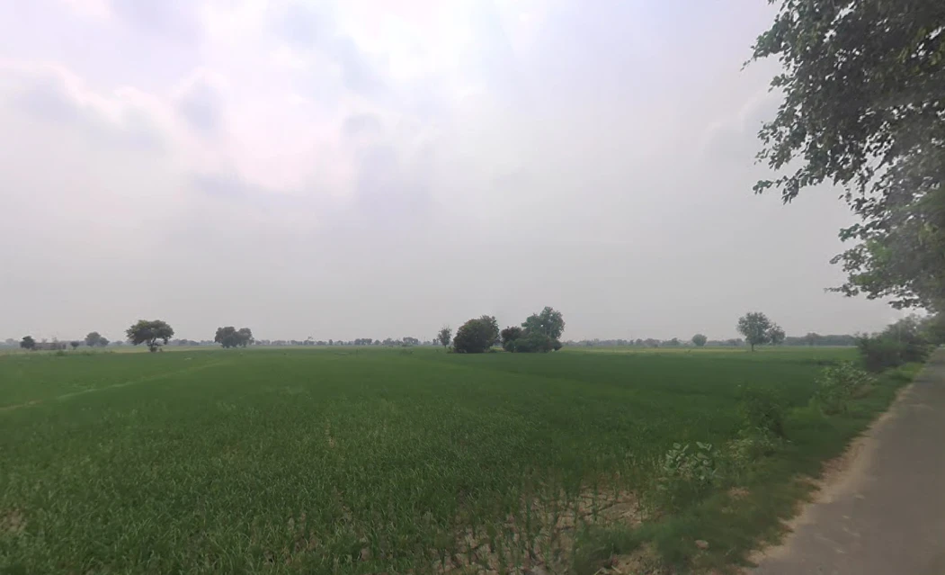 Bodiwali, Haryana 125050, India