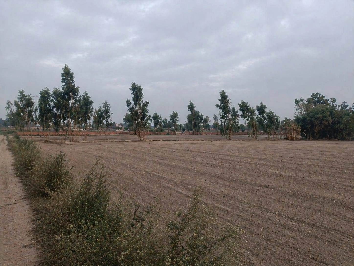 Barhana, Uttar Pradesh, India