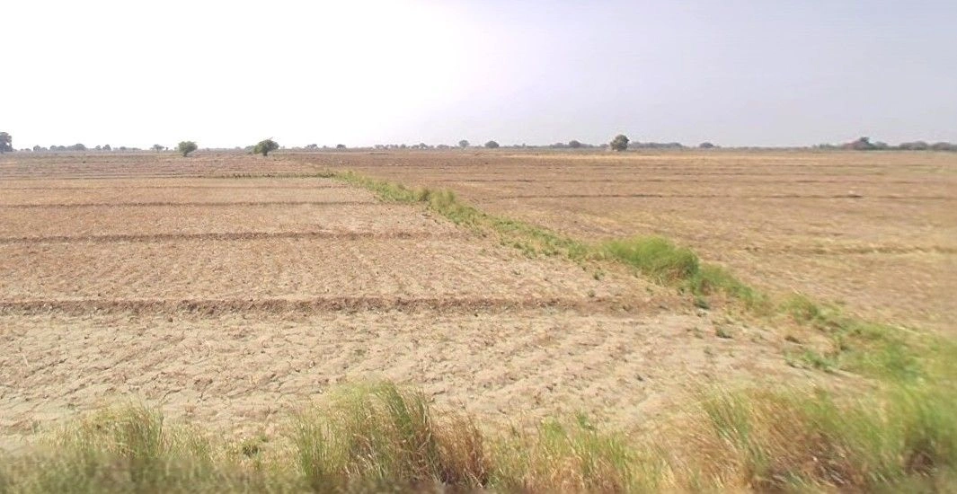 Barnagar, Madhya Pradesh 456771, India